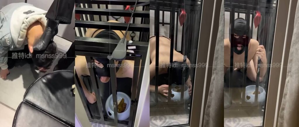 美少女母女主 - 圈养厕奴片段合集 - 厕奴调教