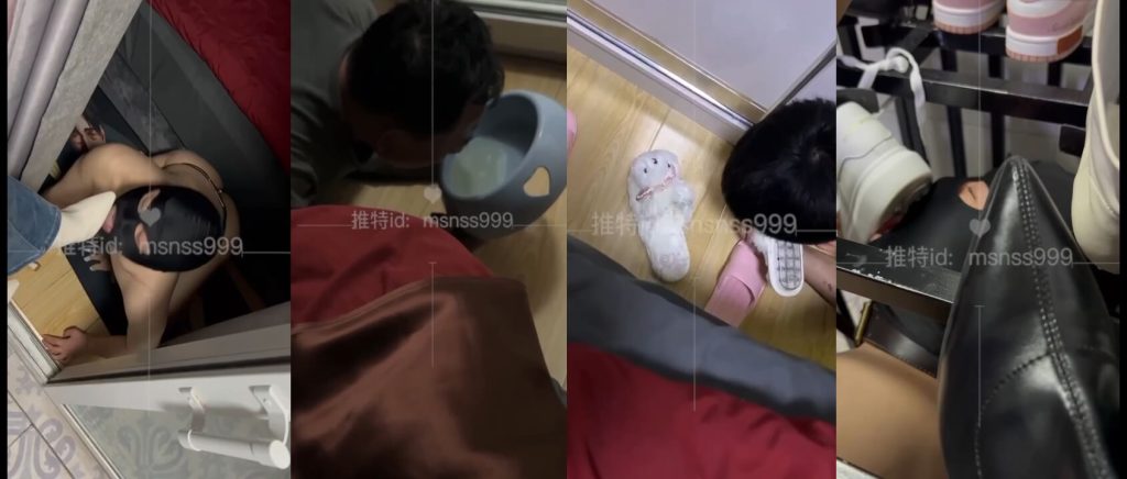 美少女母女主 - 圈养厕奴片段合集 - 厕奴调教