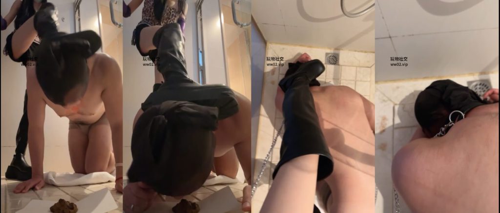 凉子 - 强迫厕奴吃屎 - 厕奴调教