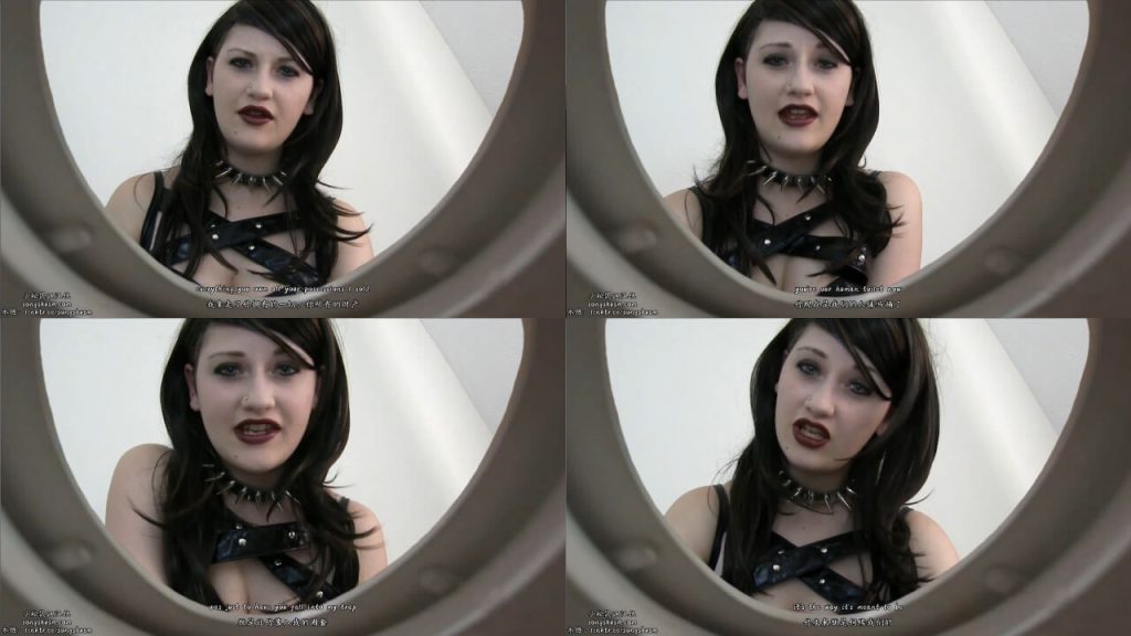 被夺走一切的绿奴老公沦为便器 | 第一视角